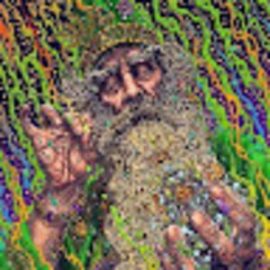 Meet your Posher, Forest